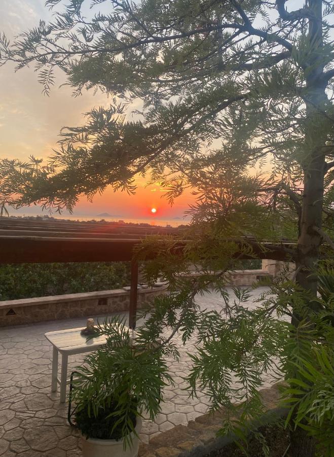 Pistachio Guesthouse, Παραδοσιακός ξενώνας Βαθύ Εξωτερικό φωτογραφία