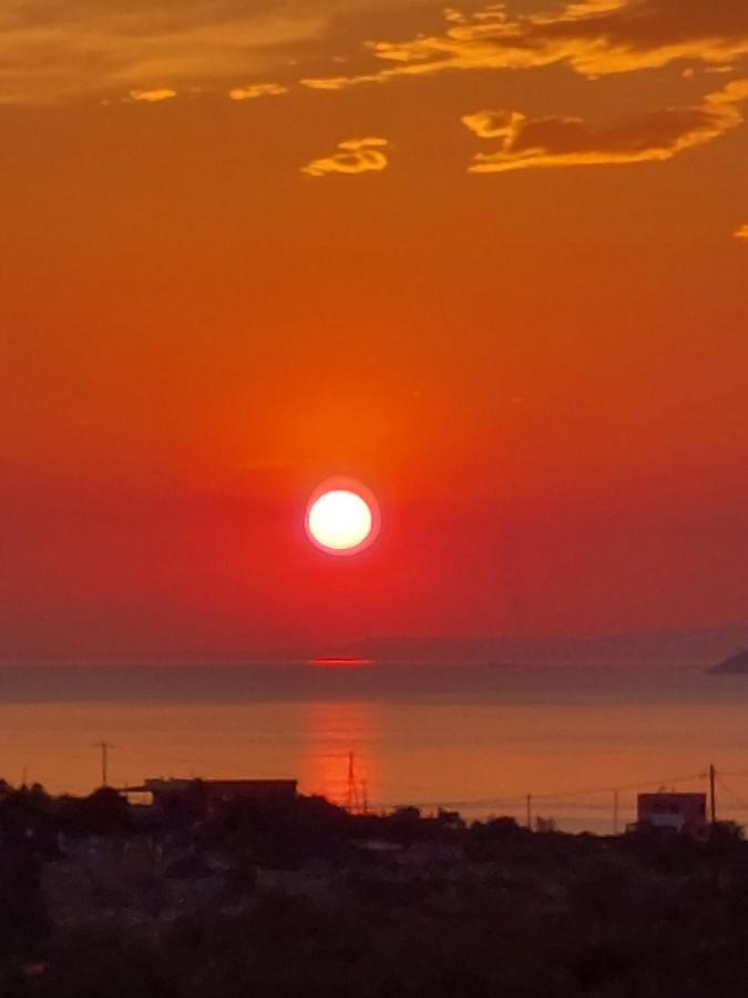 Pistachio Guesthouse, Παραδοσιακός ξενώνας Βαθύ Εξωτερικό φωτογραφία